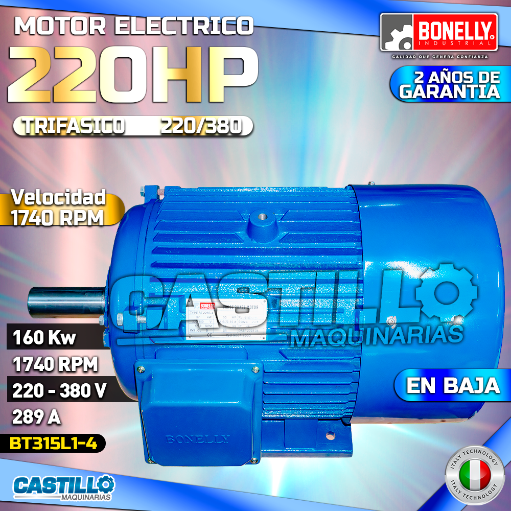 Motor Eléctrico 220HP | Trifásico 220 / 380 en Baja
